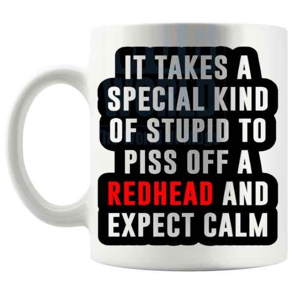 It Takes A Special Kind Of Stupid Mug funny redhead gift shown with handle on the left