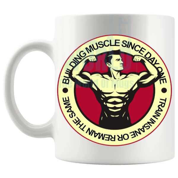 Train Insane Or Remain The Same Mug shown with handle on the left
